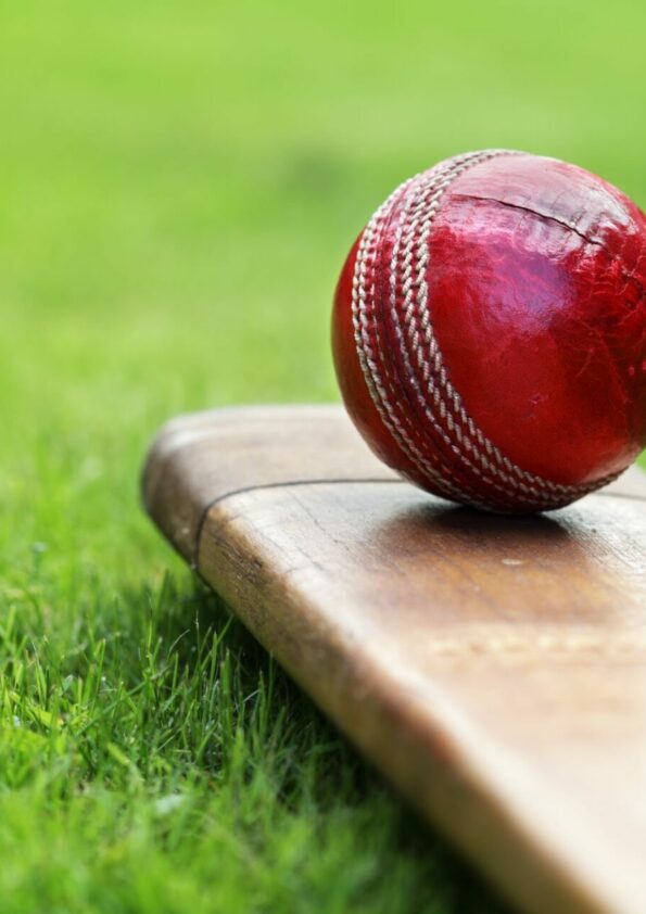 Cricket Generic Web Image